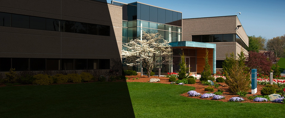 Raynham Landscapers