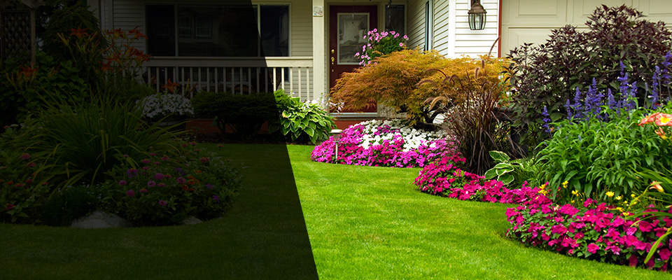 Raynham Landscapers