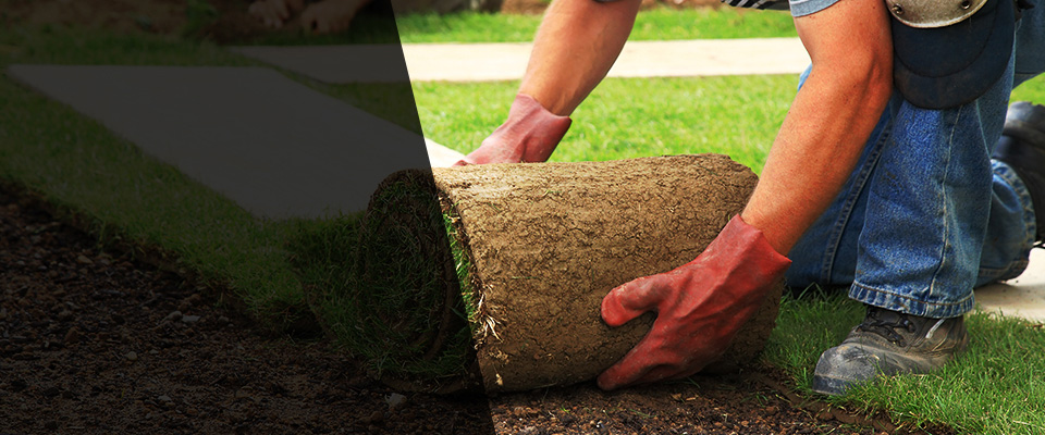 Raynham Landscapers